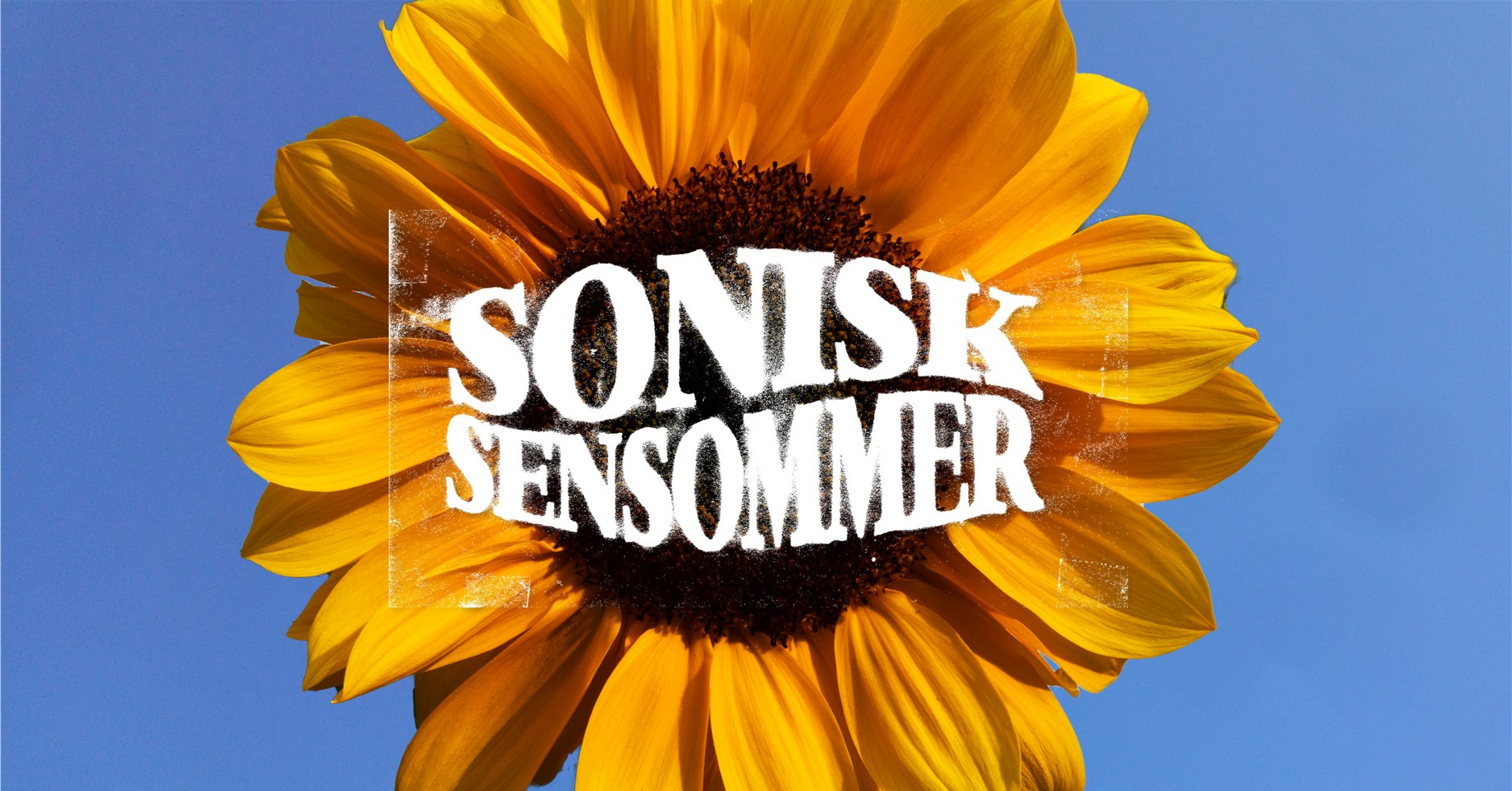 Fejr musikken og sensommeren i A-Huset