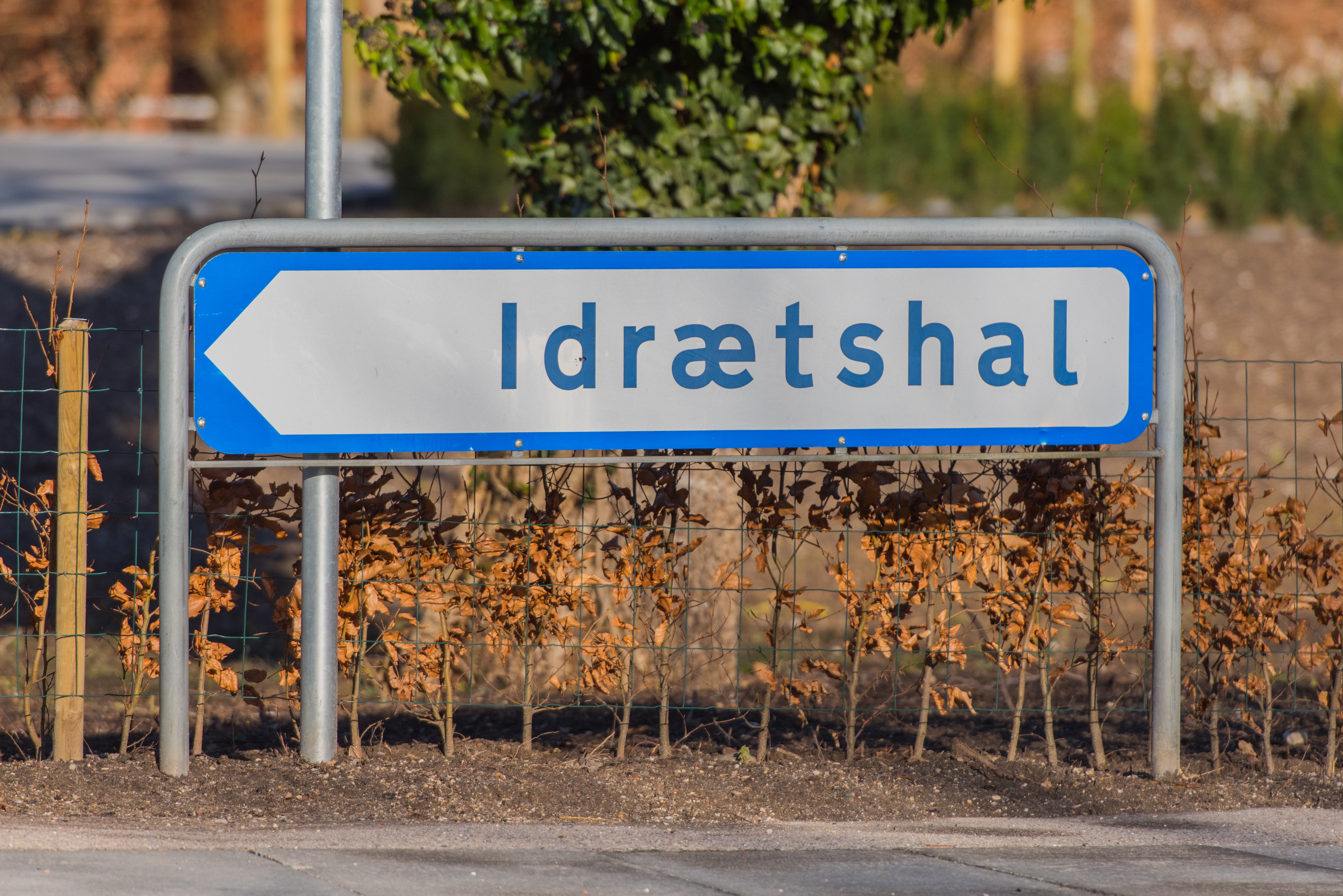 Bred opbakning til plan for ny Dronningborg Hal