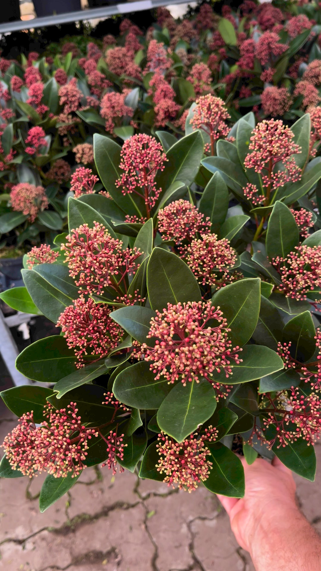 Hold trit med lokalområdet: Nyt fra Odder