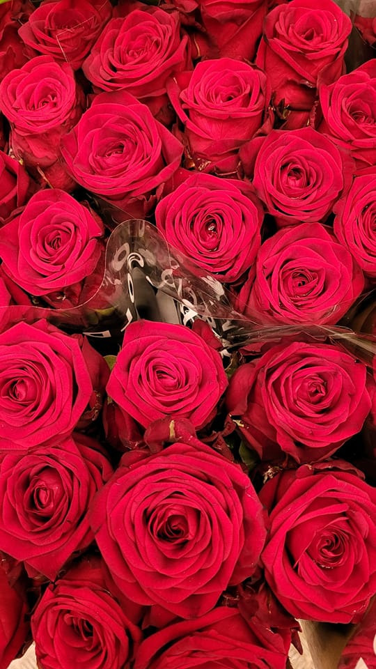 Hold trit med lokalområdet: Nyt fra Viborg