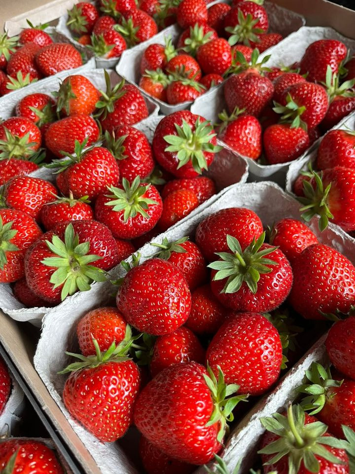 Hold dig ajour med dagens opdateringer fra Horsens