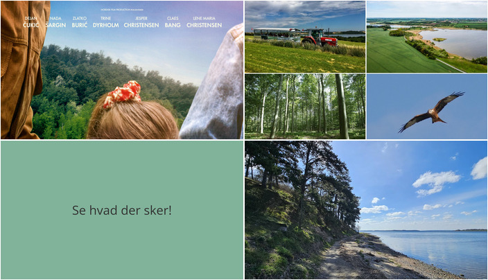Nyd en alsidig weekend i Skibby: Film, fugle og vandreture