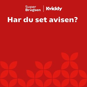 Opslagsbillede