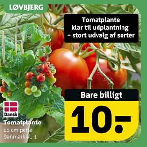 Opslagsbillede