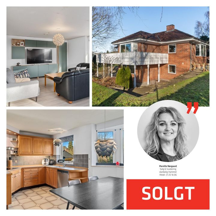 Hold trit med lokalområdet: Nyt fra Hammel