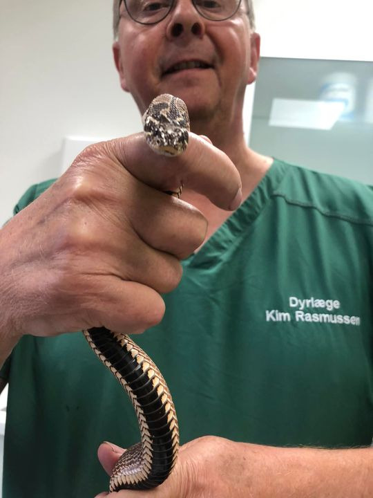 En finger på pulsen i Herning