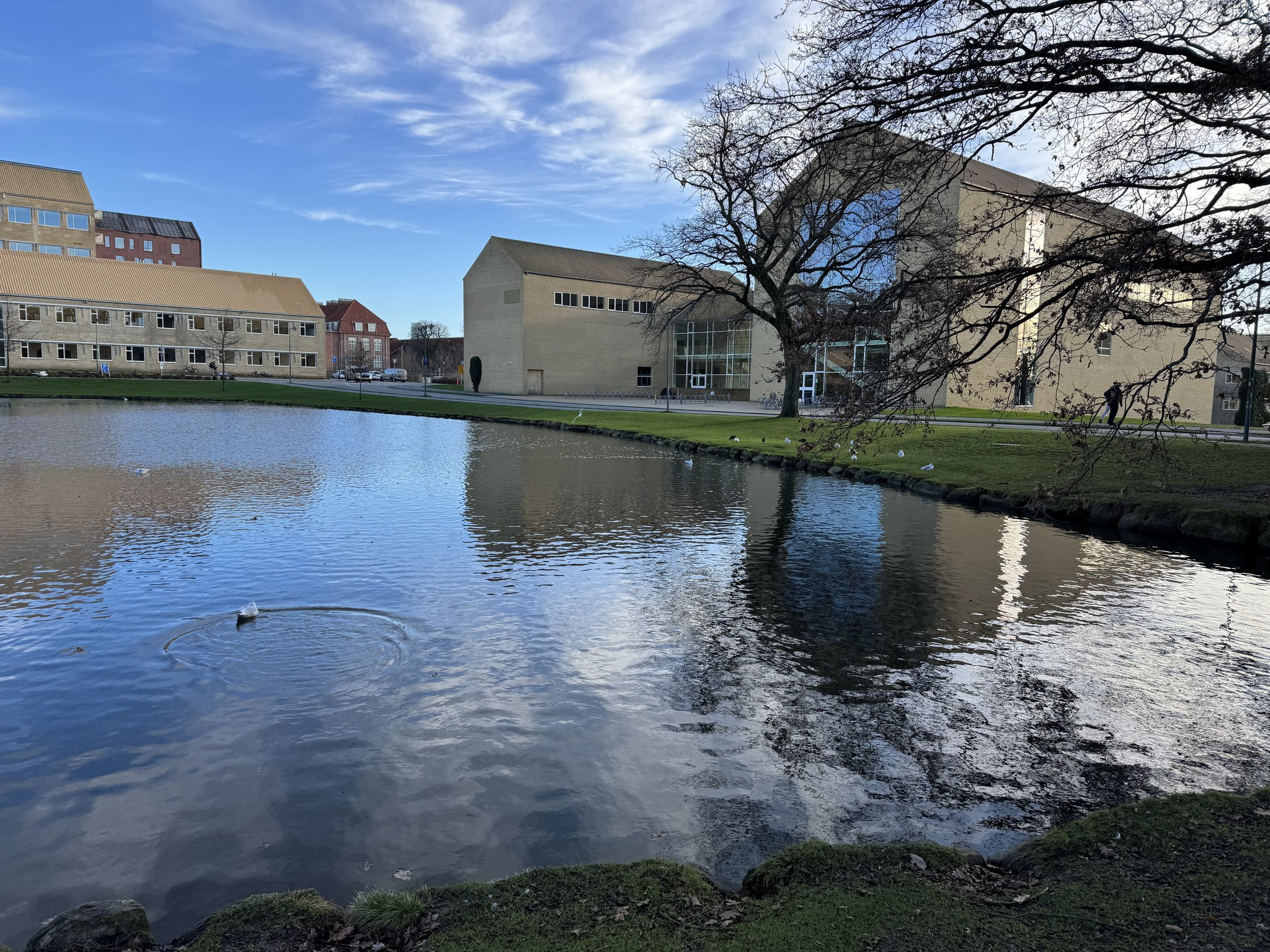 Guidet tur i Uniparken: Oplev Aarhus Universitets historie