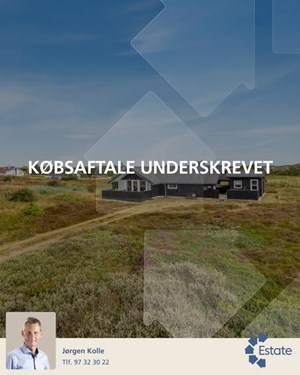 opslagsbillede