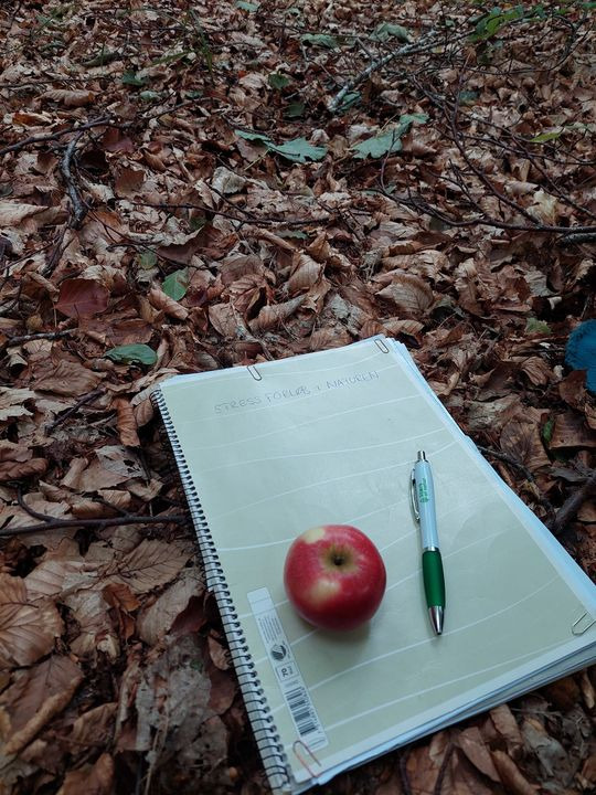 Hold dig ajour med dagens opdateringer fra Hammel