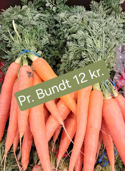 Spar Valsgård præsenterer dagens grønne tilbud og faste onsdagstilbud