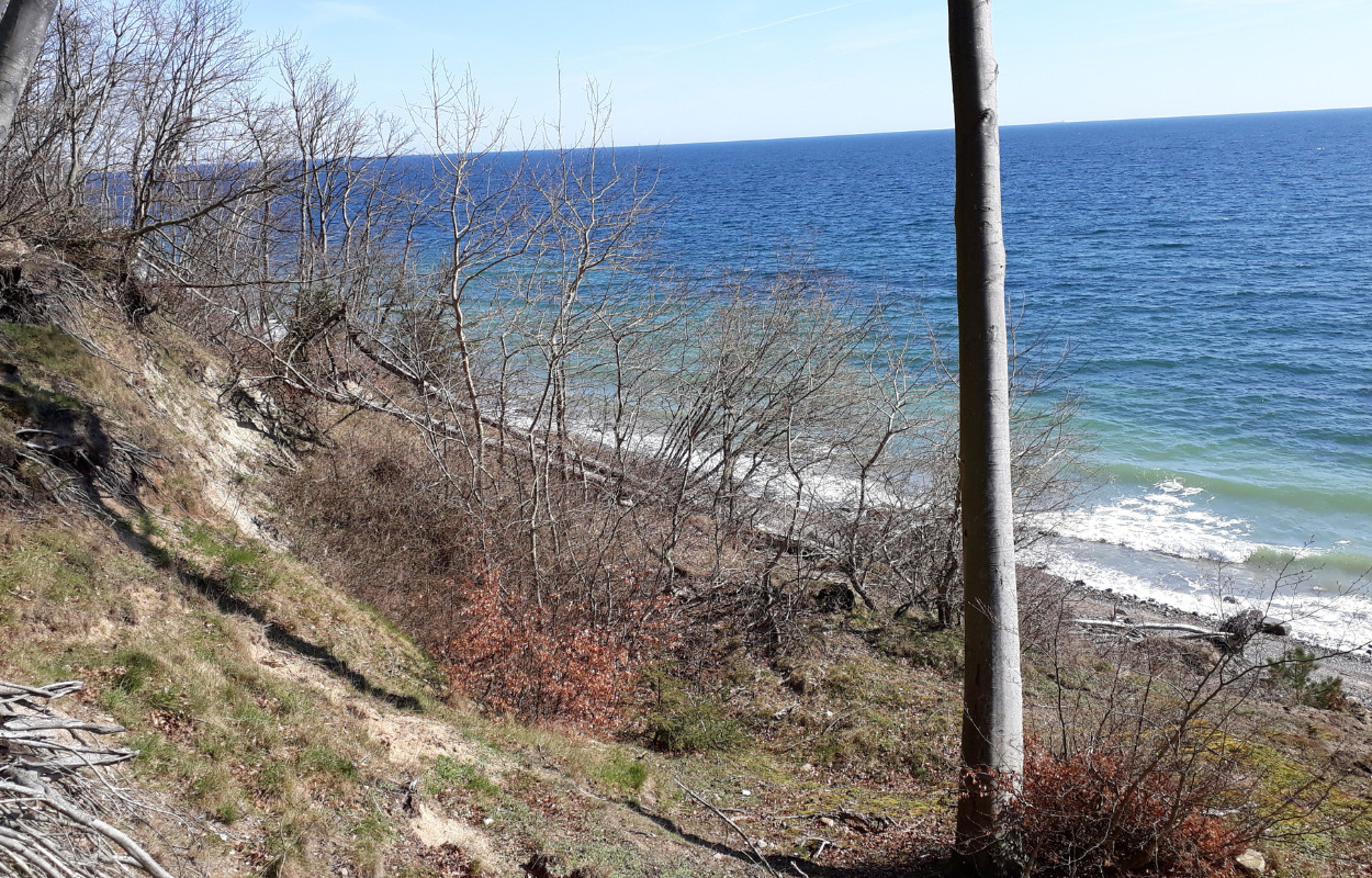 Vandrenes Dag på Djursland den 23. september 2023 - kom og gå med!