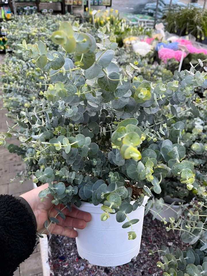 Se dagens updates fra Horsens her