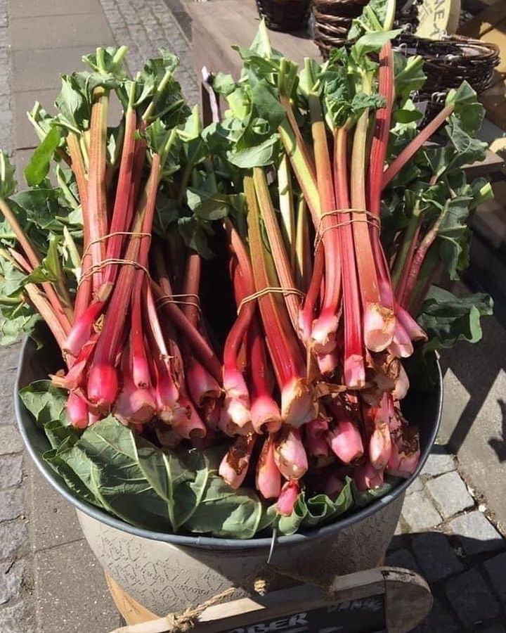 Hold trit med lokalområdet: Nyt fra Vejle