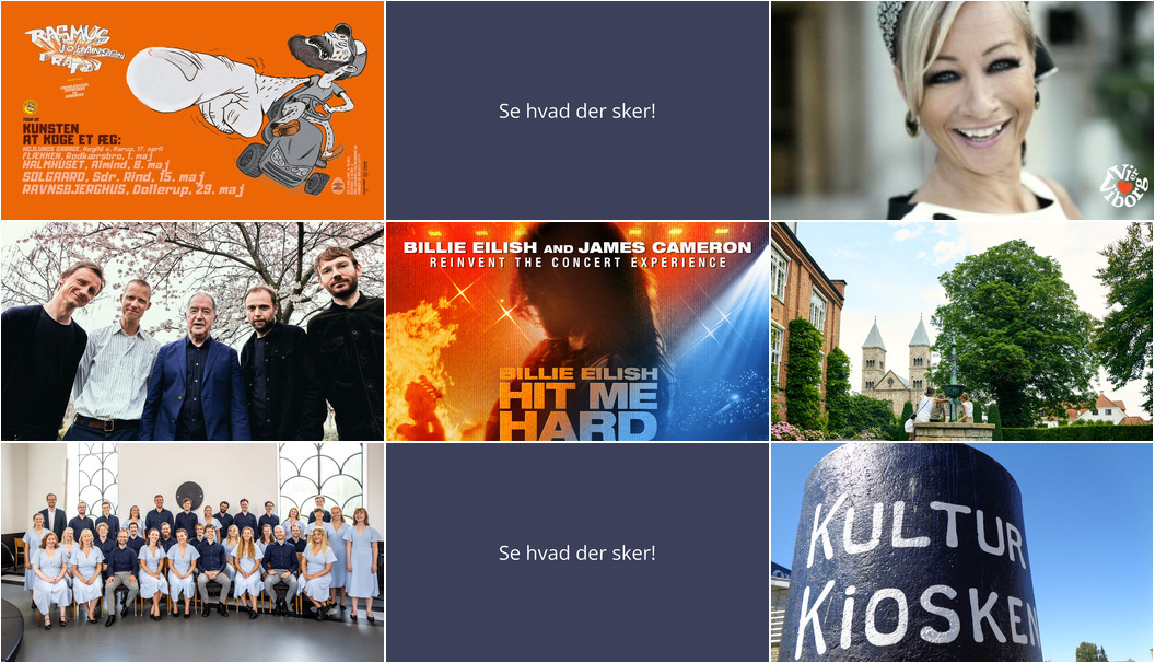 Oplev Viborg: Koncerter, kultur og fællesskab denne weekend