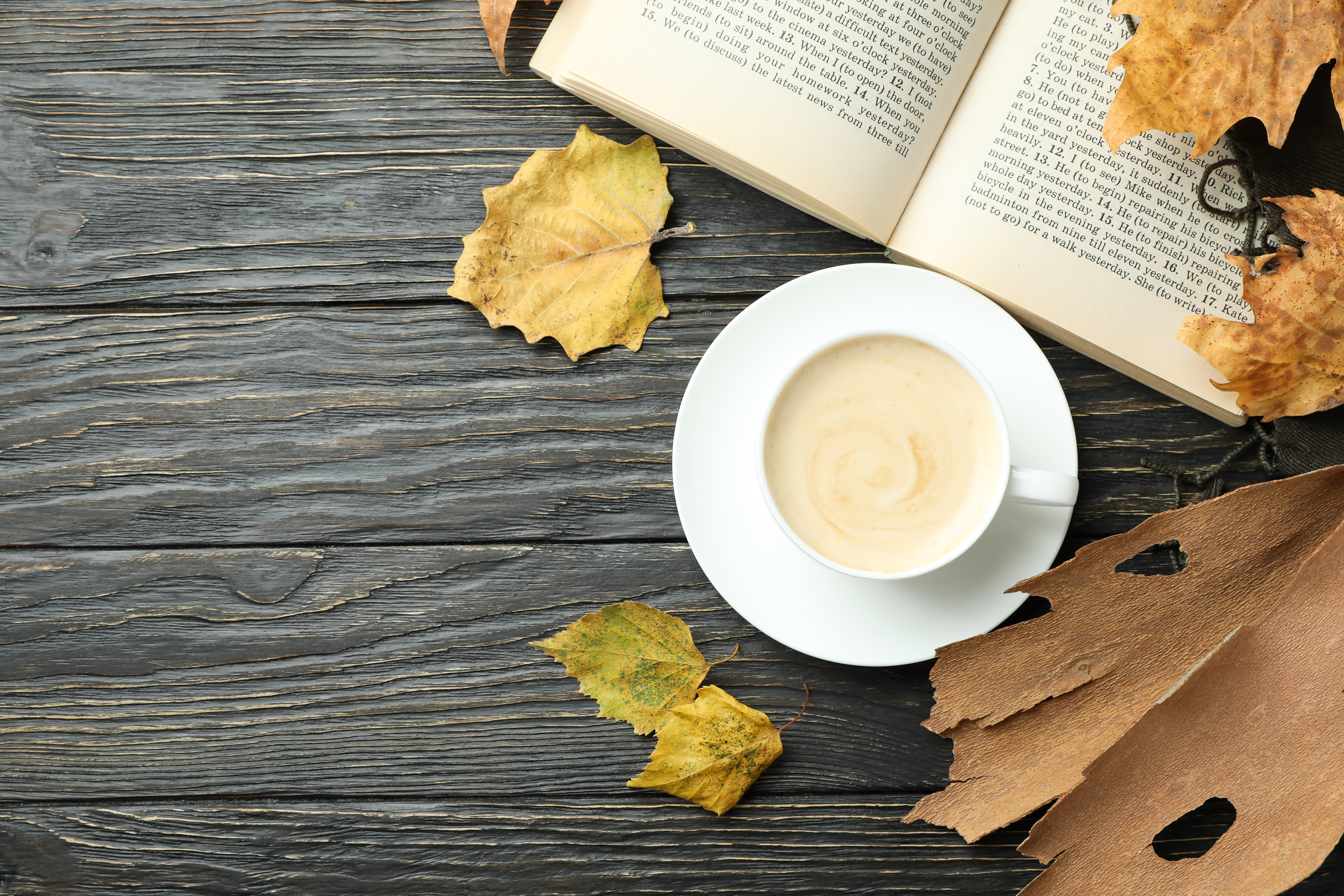 Guidet fælleslæsning i Farum Kulturhus