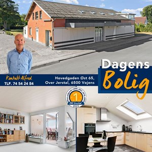 Opslagsbillede