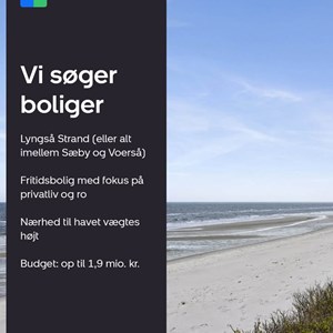 Opslagsbillede
