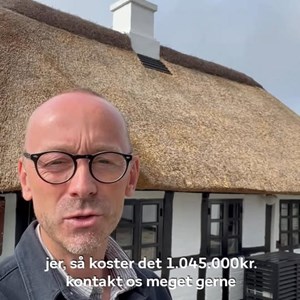Opslagsbillede