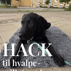 Opslagsbillede