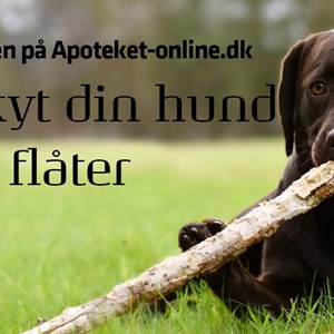 Opslagsbillede