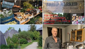 Oplev Hundested denne weekend: Markeder, rundvisninger og ølsmagning