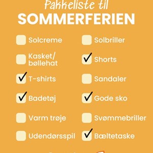 Opslagsbillede