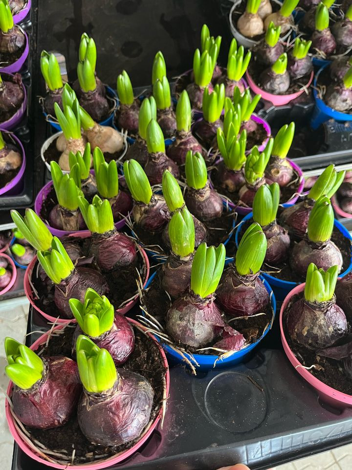 Se dagens updates fra Odder her