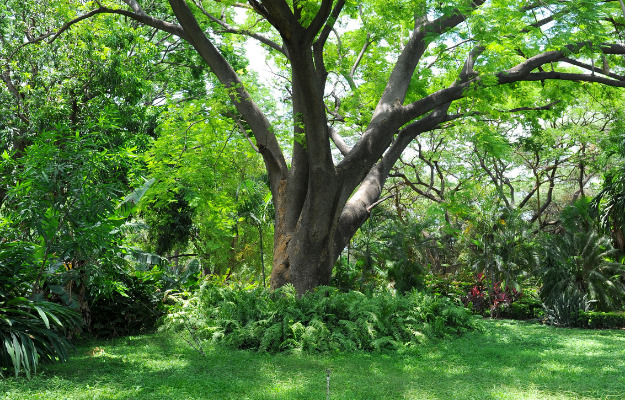 Fællesspisning, vinsmagning og aftenhygge i Geografisk Have 