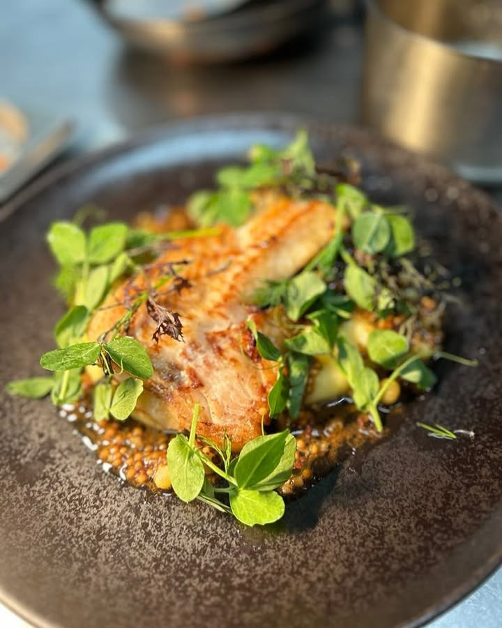 Pandestegt rødfisk på aftenmenuen hos Café Bryggen