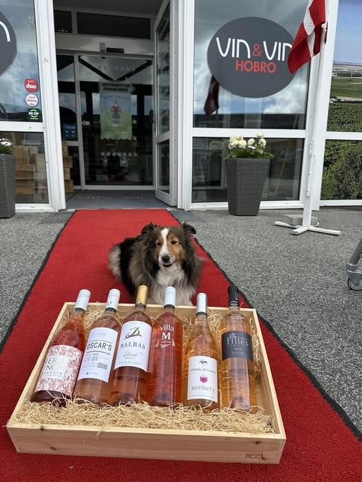 Vin & Vin Hobro præsenterer sol og sommer smagekasse til terrassen