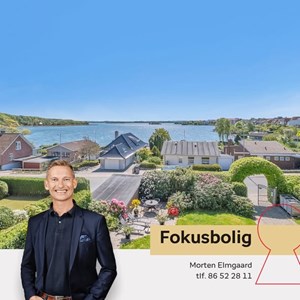 opslagsbillede