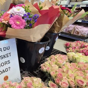 Opslagsbillede
