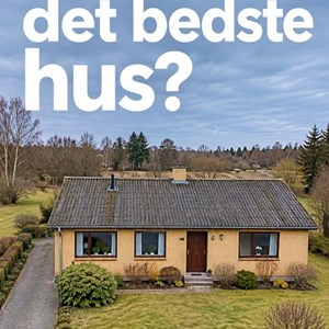 Opslagsbillede