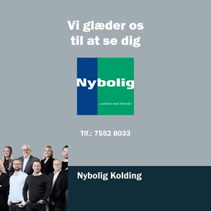 Opslagsbillede
