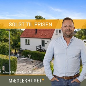 Opslagsbillede