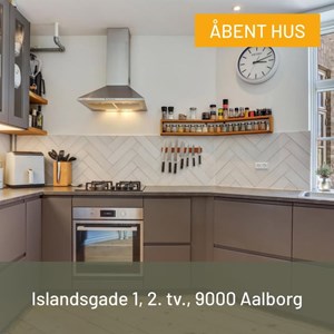 Opslagsbillede