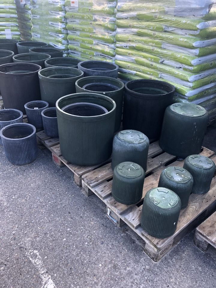 Hold dig ajour med dagens opdateringer fra Hals