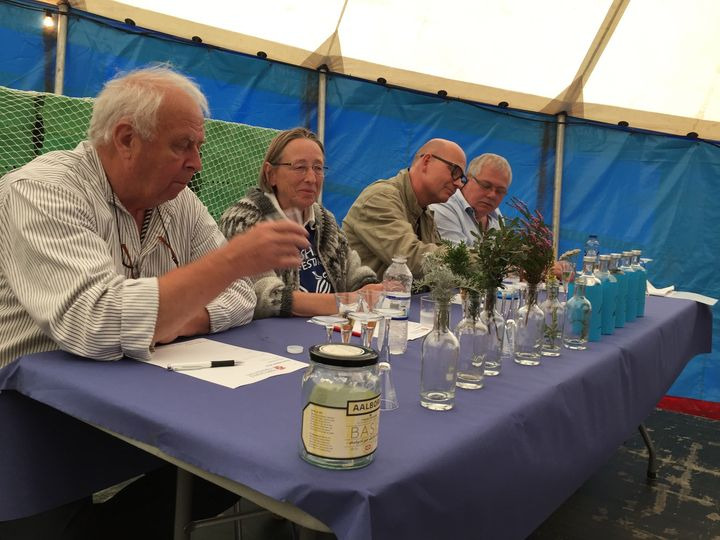 Det nyeste på Hjørrings opslagstavle