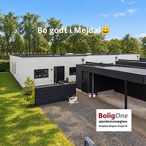 Opslagsbillede