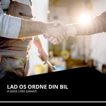 Opslagsbillede