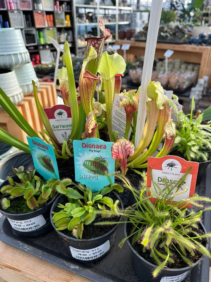 Det nyeste på Odders opslagstavle