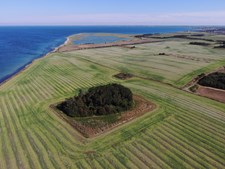 Guidede ture og fremtidsidéer på Kruusesminde i Slagelse Kommune