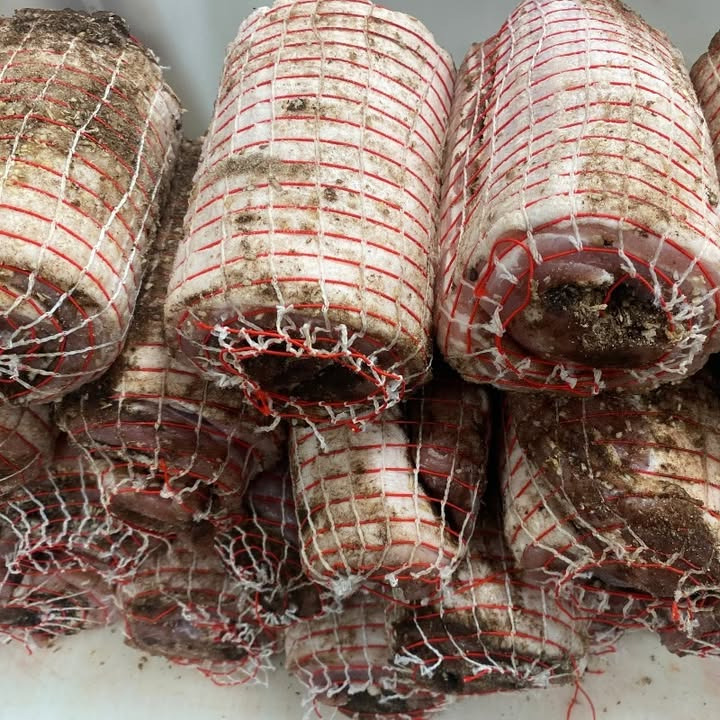 SuperBrugsen Dronninglund tilbyder billig rullepølse i slagterafdelingen