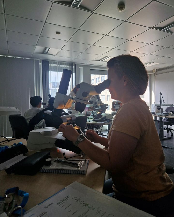 Hold trit med lokalområdet: Nyt fra Skive