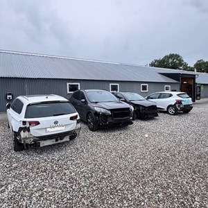 Opslagsbillede