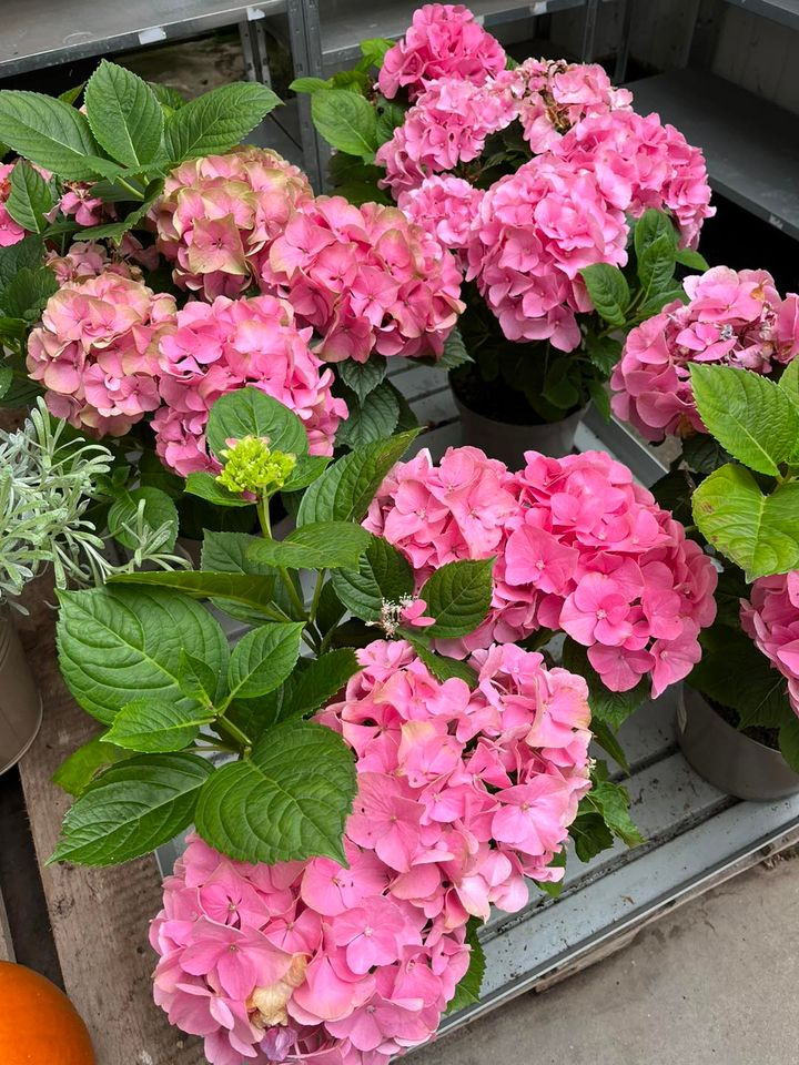 Opslagstavlen: Nyeste opdateringer fra Odder