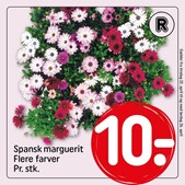 Ny avis og friske varer hos REMA 1000 Nykøbing Mors fra i morgen