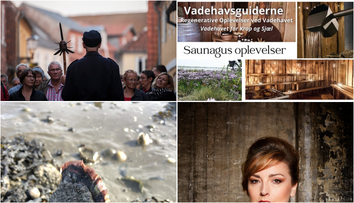 Udforsk Ribe denne weekend: Historie, wellness, og musik