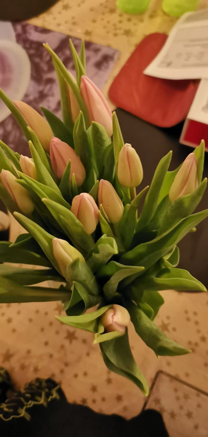 Hold trit med lokalområdet: Nyt fra Horsens