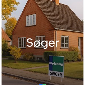 Opslagsbillede